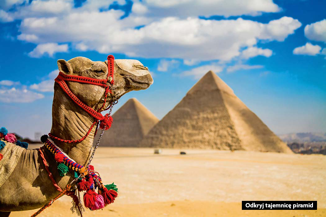 pieluchy a wycieczka do egiptu