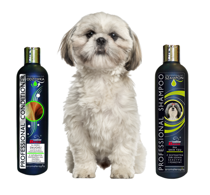 najlepszy szampon dla shih tzu forum