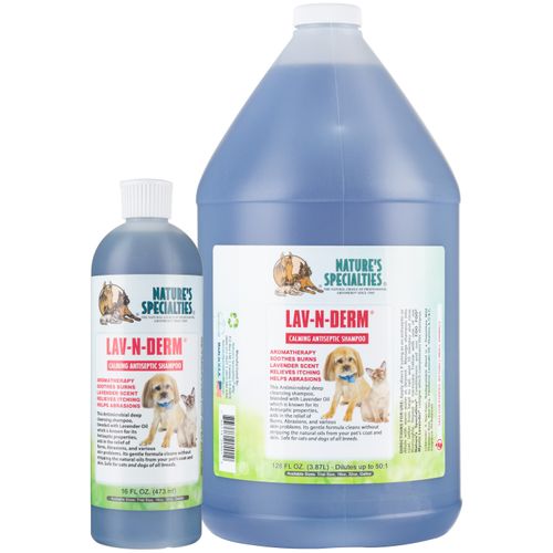 szampon bakteriobójczy dla psów