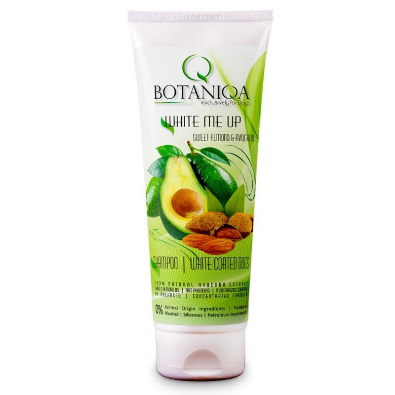 botaniqa szampon dla berneńczyka