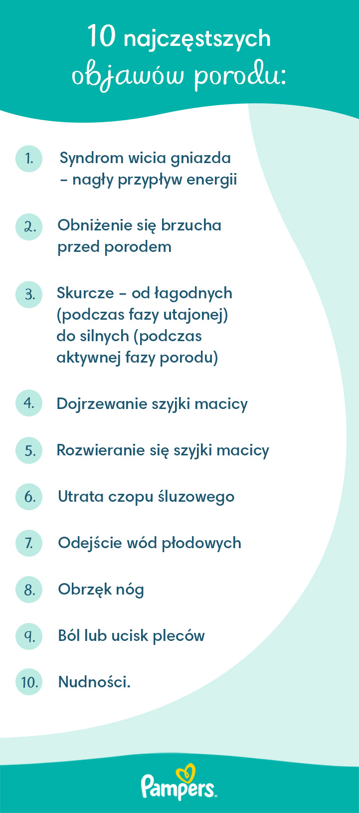 19 tydzień ciąży pampers