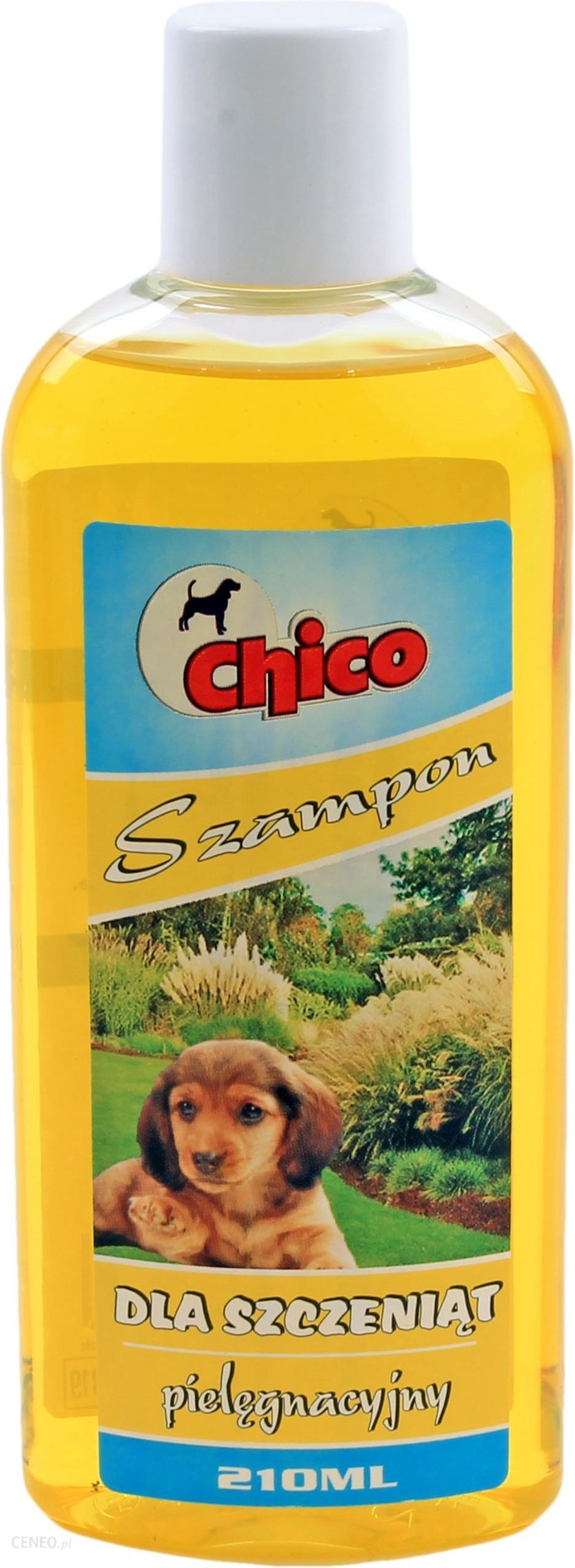 chico szampon dla psów