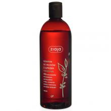 szampon leczniczy z żeń szeniem do włosów tłustych apteka