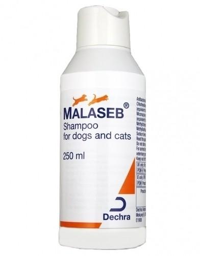 malaseb szampon 250 ml