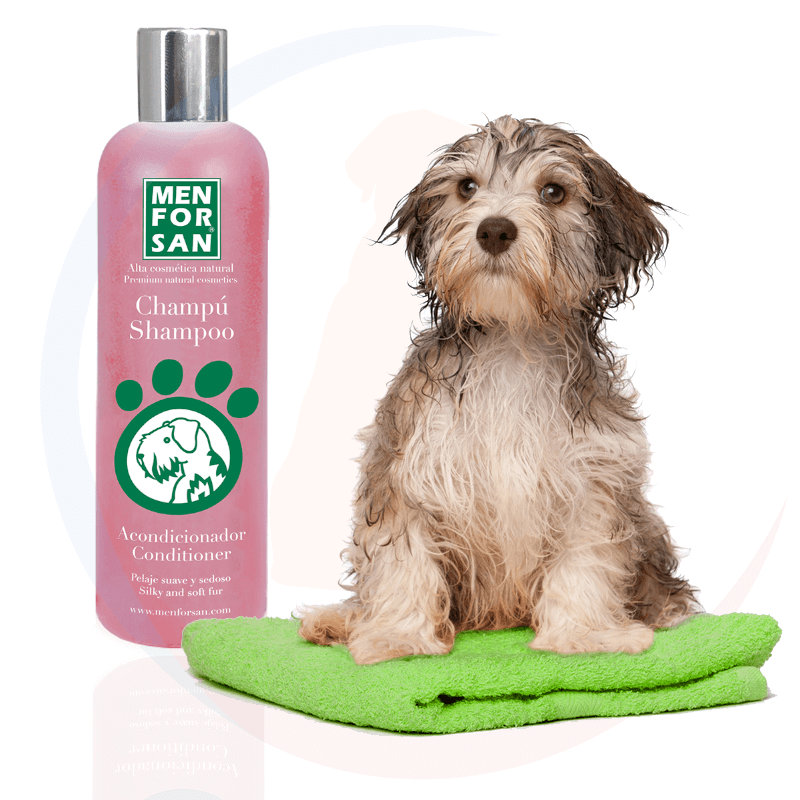 szampon dla psa fm