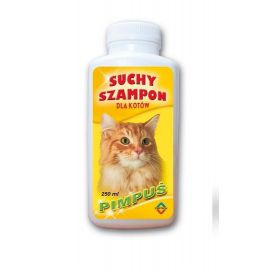 wystawy kot suchy szampon