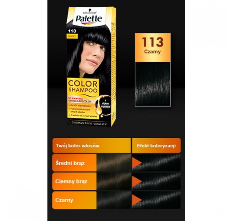 palette color shampoo szampon koloryzujący 113 czarny