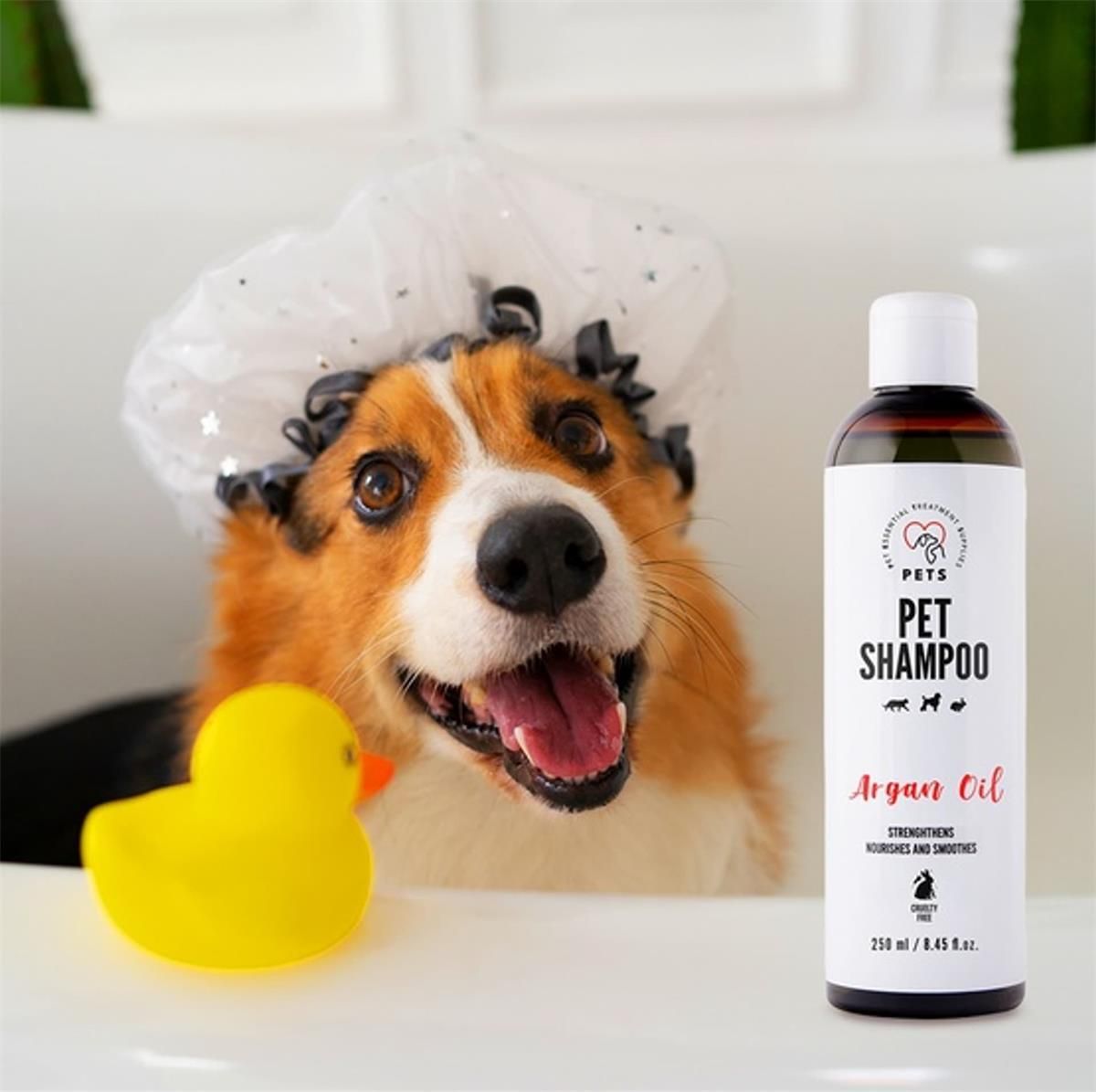 szampon dla psa pets