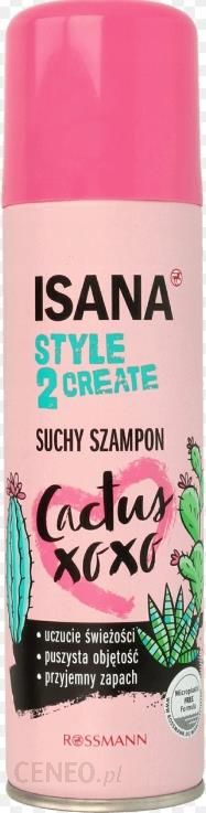 isana suchy szampon style 2 create