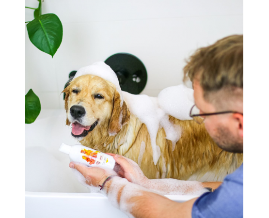 szampon dogłębnie oczyszczający dla psa