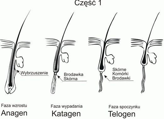 szampon na przedluzenie wlosow zapytaj onet