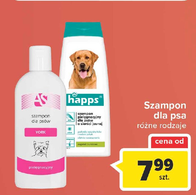 hebe szampon dla psa