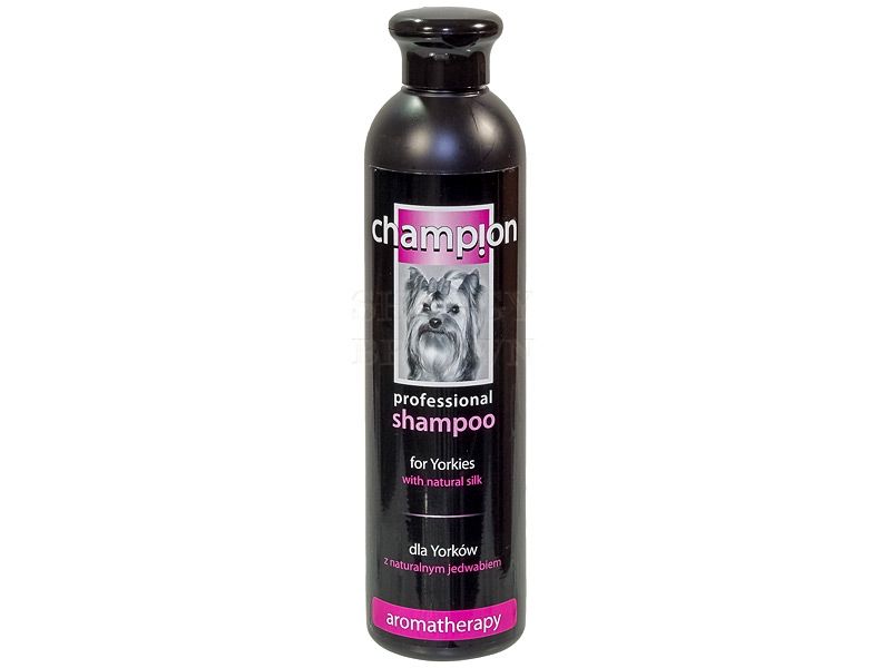 champion szampon dla psow