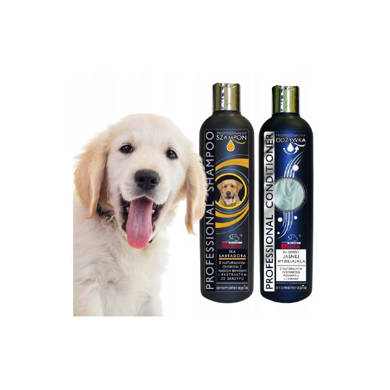 szampon dla psa labrador