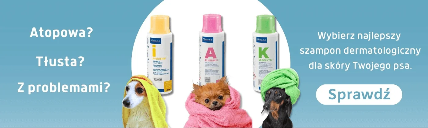 najlepszy szampon dla psów długowłosych
