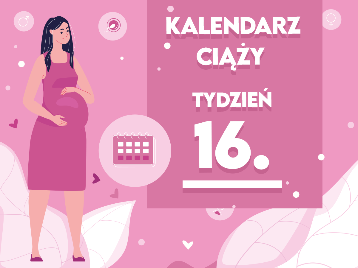 pampers kalendarz ciazy 16 tydzien