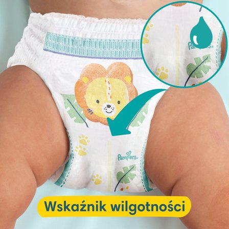 pampers pants 6 44 sztuki cena