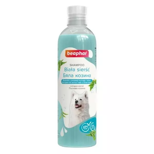 szampon bakteryjny dla psa