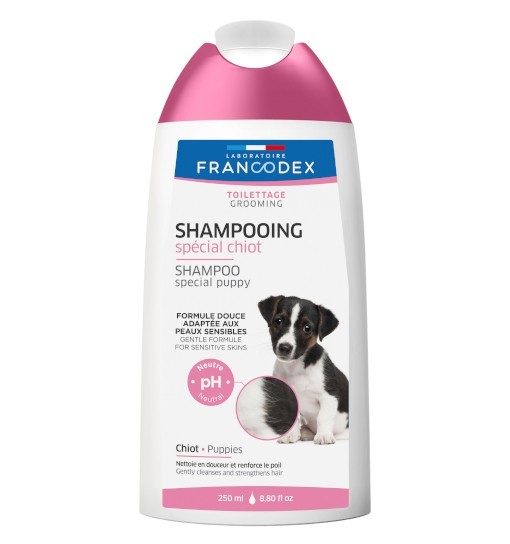 szampon dla psa co nie szczypie w oczy