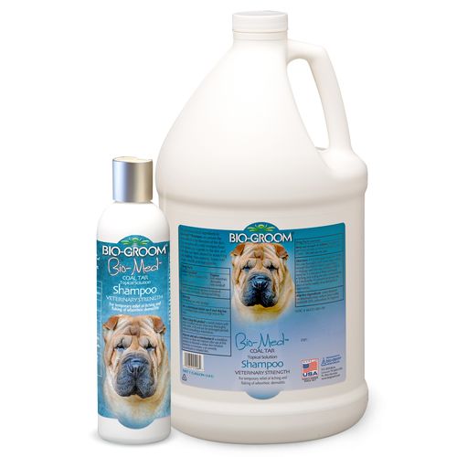 szampon dla psów przeciw łupieżowi